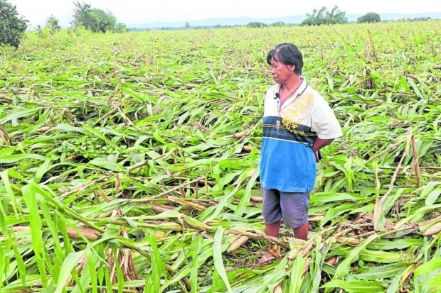 Philippines khẩn trương sơ tán người dân, chuẩn bị đón siêu bão Noru